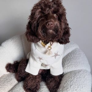 Romeo